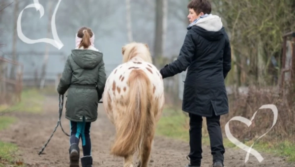 Helfen heißt, jemanden in seiner Eigenkraft zu begleiten